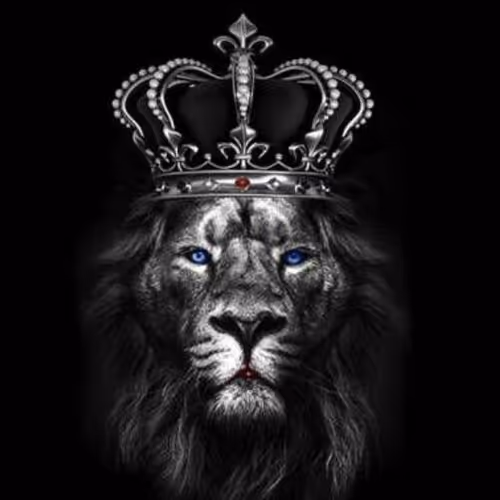 Item #107839786668602559178668060348078522694548577690162289924414440996865 Media