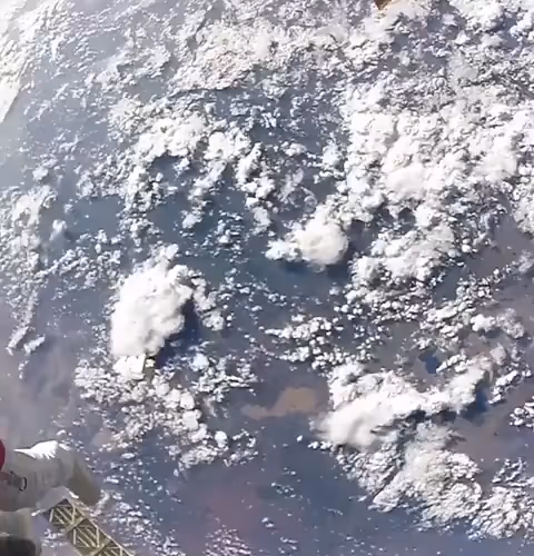 sexes.lens-Collect-719