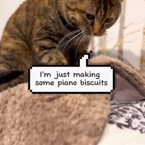 piano-kamilla.lens-Collect-347