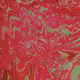 zospours.lens-Collect-4730