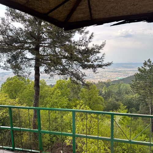 lawgroup.lens-Collect-250