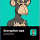 Encryption ape