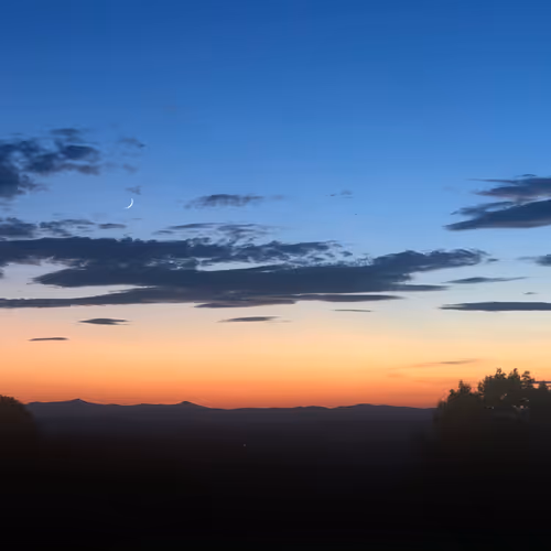 metaz.lens-Collect-32