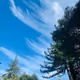 NatureInMyEyes