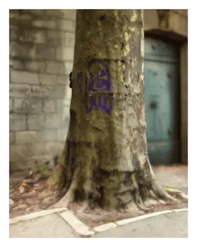 yihaifeng.lens-Collect-265