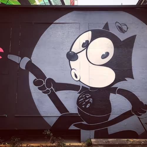 jackal.lens-Collect-135