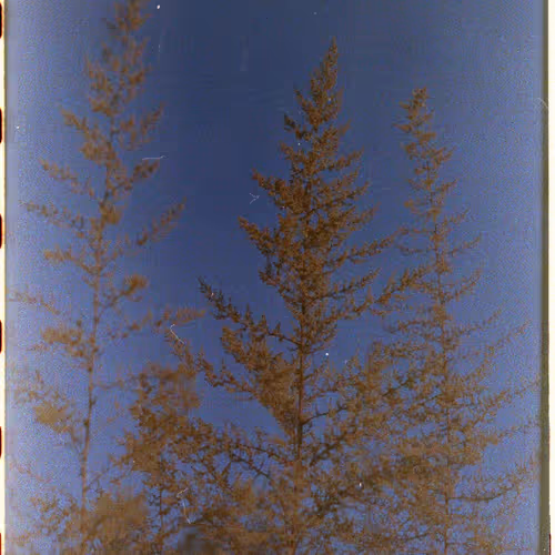 0xmanu.lens-Collect-37