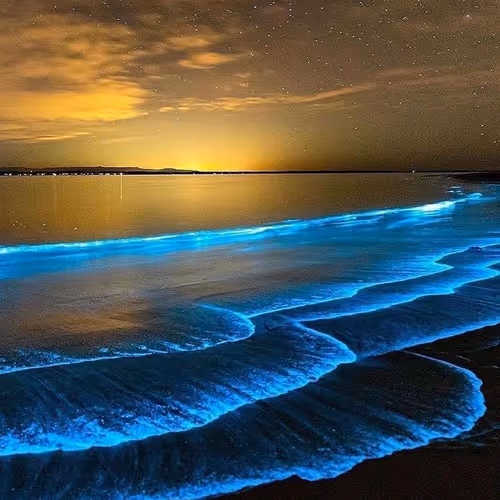 taniotakashi.lens-Collect-676