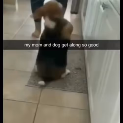 bennetta1.lens-Collect-280