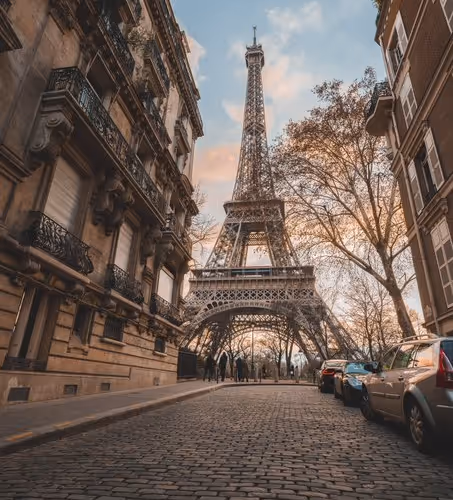 fortunetrees.lens-Collect-17543