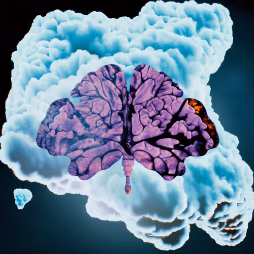 Brain