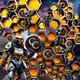 Cryptobee
