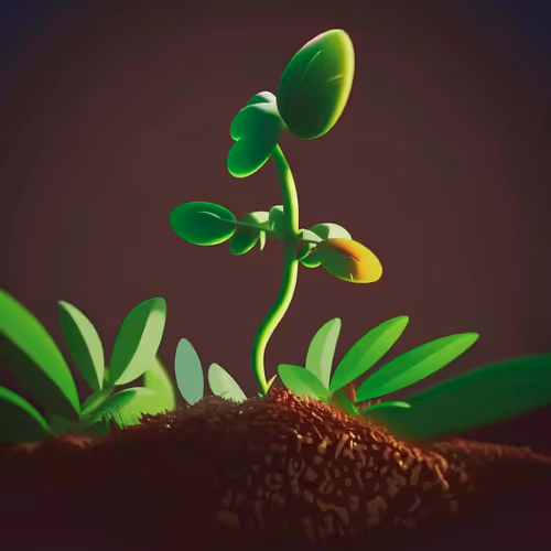 dankshard.lens-Collect-80