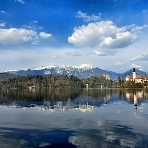 dankshard.lens-Collect-111