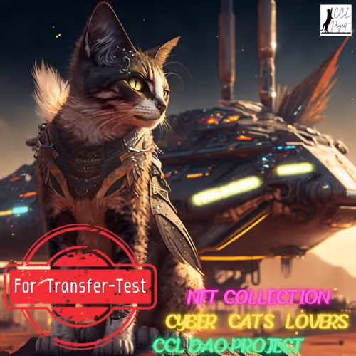 For Transfer-Test vol.3