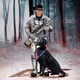 13733