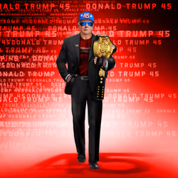 Trump Digital Trading Card Series 2 #12377