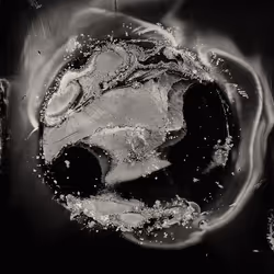 항목 미디어 플레이스홀더