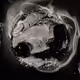 Charged Particles - Proton V2