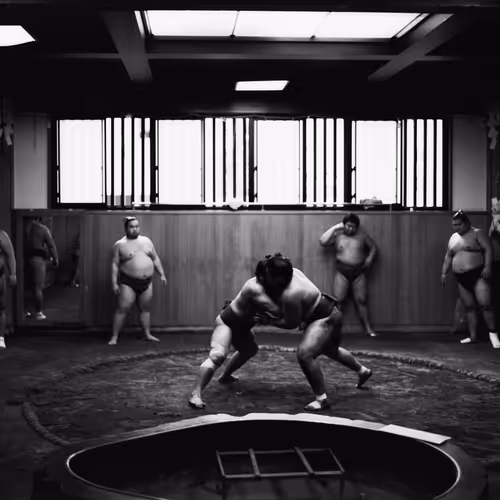 pilotmji.lens-Collect-14