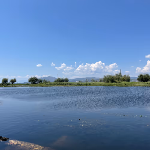 akxakxll.lens-Collect-198