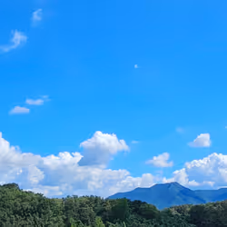 Sky NFT #221