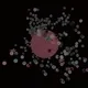 1181630255454384624658052876656230252582016913682