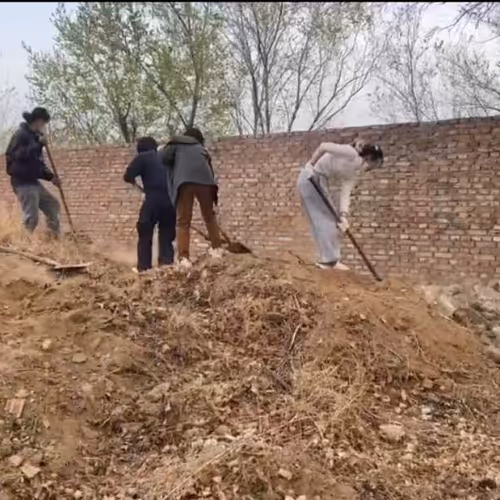 whirlwind.lens-Collect-51