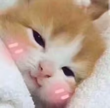 S2