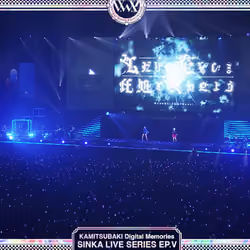 SINKA LIVE SERIES EP. Ⅴ