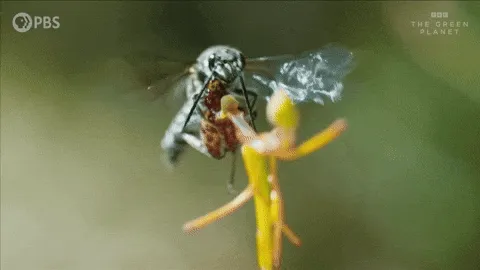 45690.lens-Collect-125