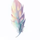 A Feather With Painting
