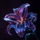 Galaxy Lily