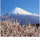 JP travel