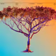 TBWA Indaba Tree  Arancia