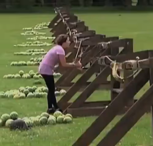 Lens Collect | Profile #138329 - Publication #97