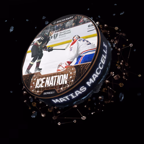 Item #9225342361691754405 Media