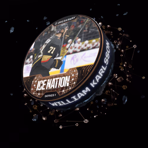 Item #13252686328467821368 Media