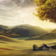 Greenfields