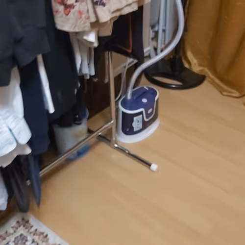 Pilesos