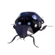 MCP Pet