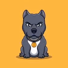Dogy