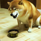 crazygamer16.lens-Collect-1193