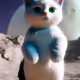 SPACE CAT
