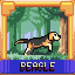 Beagle