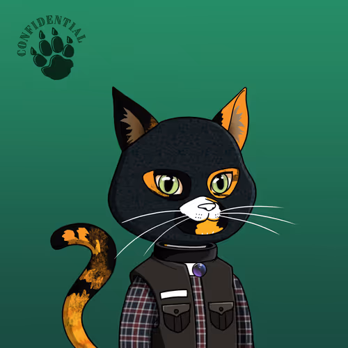 NFT_BLACK_CAT