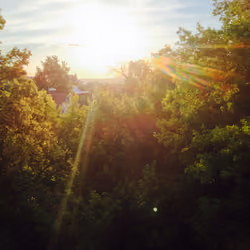 Sunshine