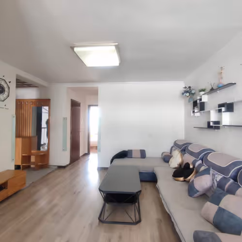 successus.lens-Collect-53