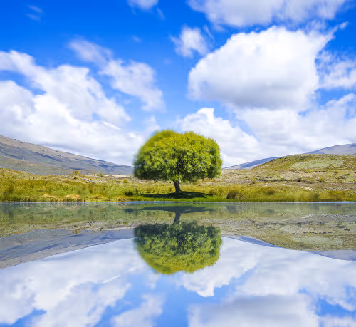 asshold.lens-Collect-1300