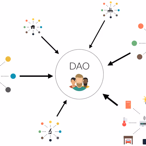 janny.lens-Collect-93